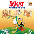 40: Die weisse Iris