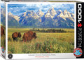 Grand Teton National Park