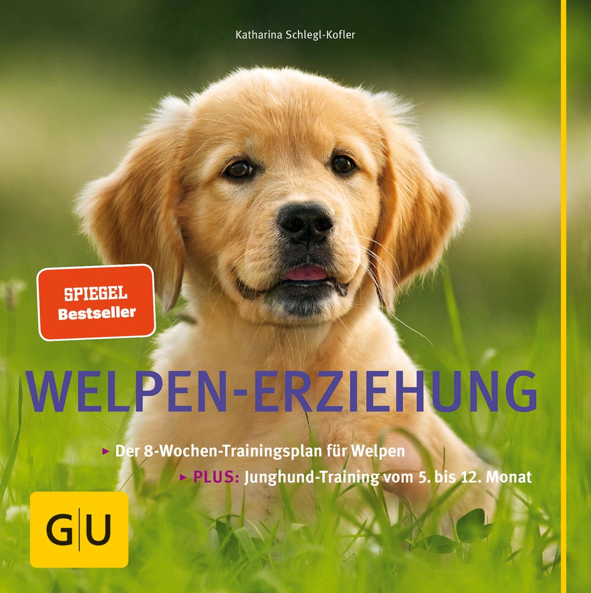 Welpen-Erziehung