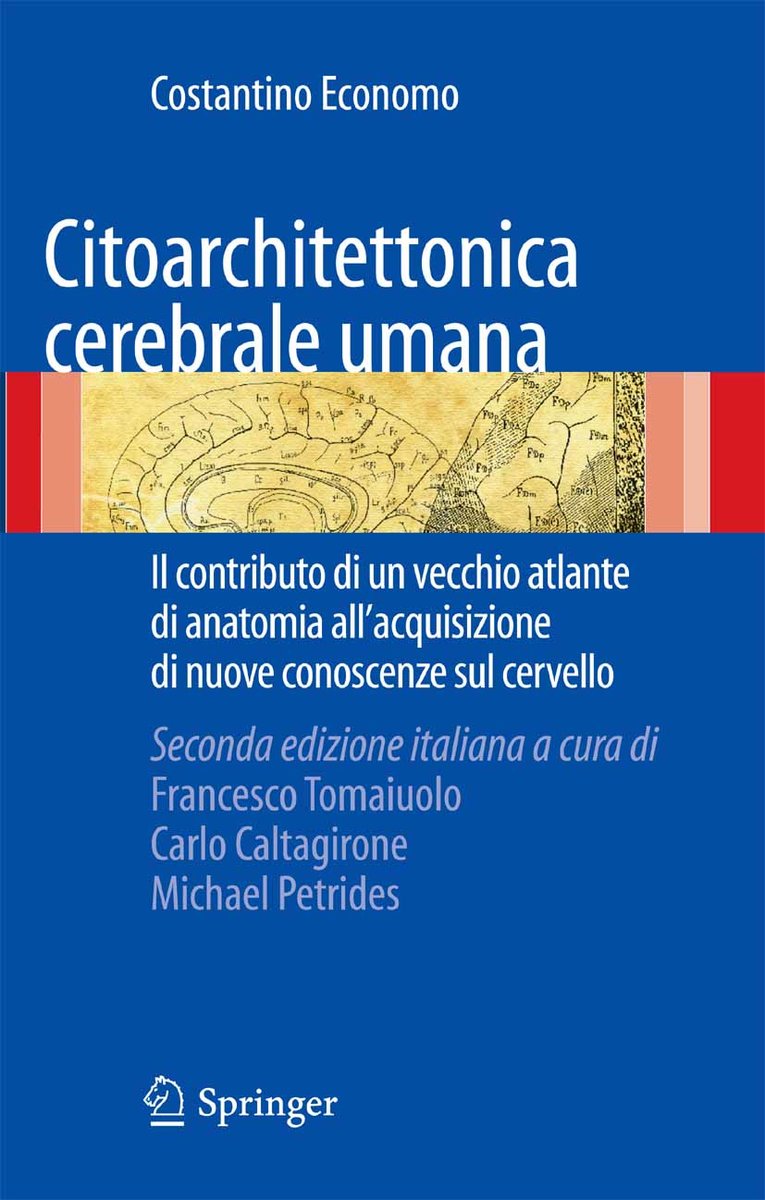 Citoarchitettonica cerebrale umana