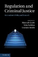 Regulation and Criminal Justice