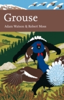 Grouse