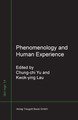 Phenomenology and Human Experience