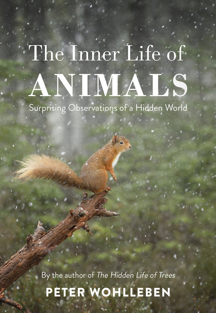 The Inner Life of Animals