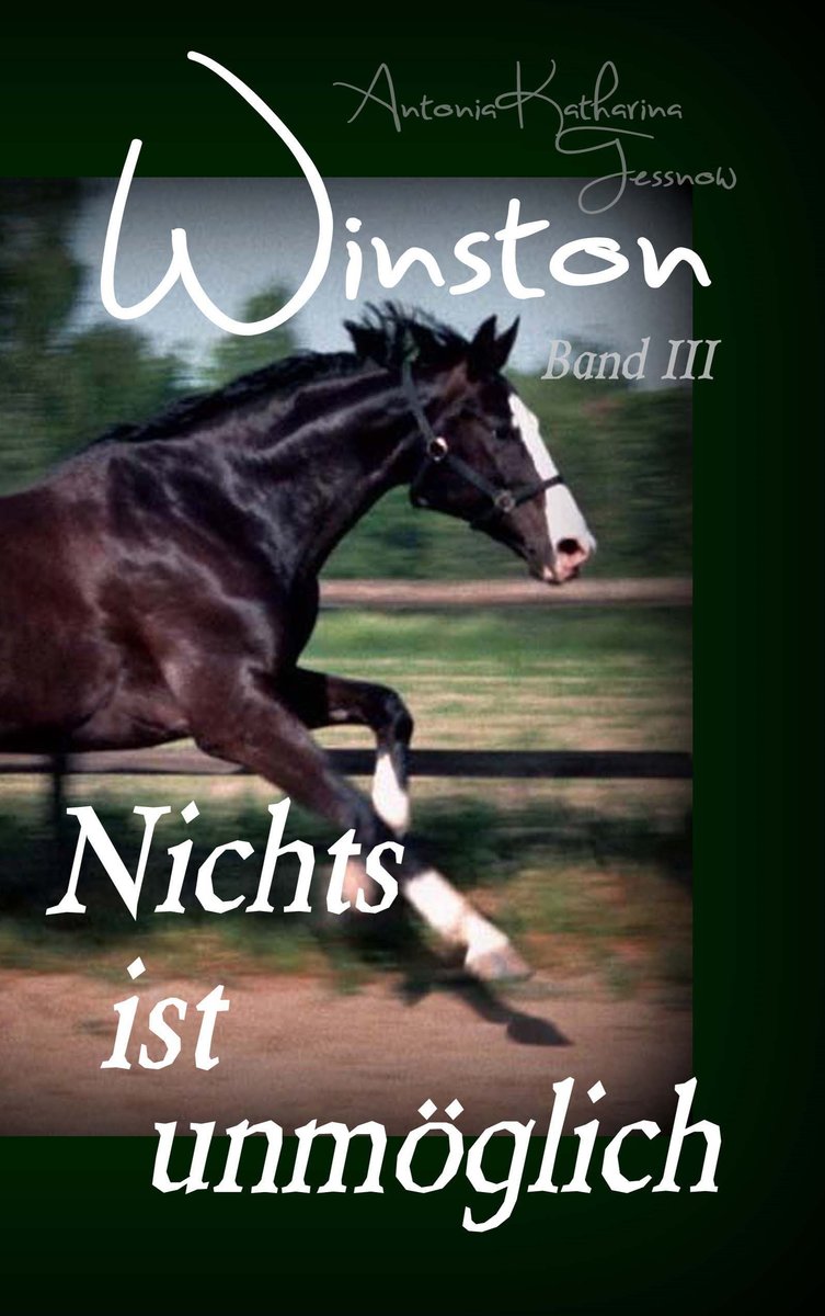 Winston - Nichts ist unmöglich