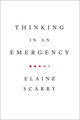 Thinking in an Emergency (Norton Global Ethics Series)