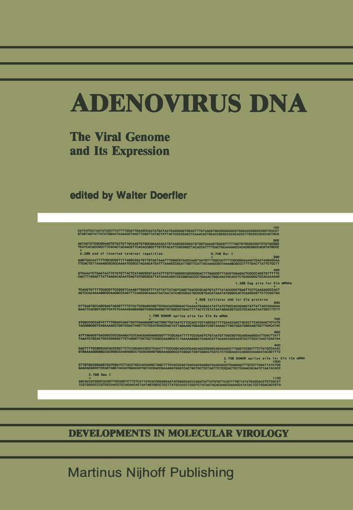 Adenovirus DNA