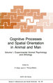 Cognitive Processes and Spatial Orientation in Animal and Man