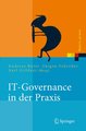 IT-Governance in der Praxis