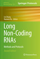 Long Non-Coding RNAs