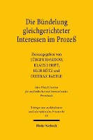 Die Bündelung gleichgerichteter Interessen im Prozeß