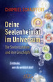 DEINE SEELENHEIMAT IM UNIVERSUM. Die Seelensphären und ihre Geschöpfe