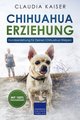 Chihuahua Erziehung