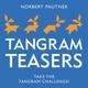 Tangram Teasers Book