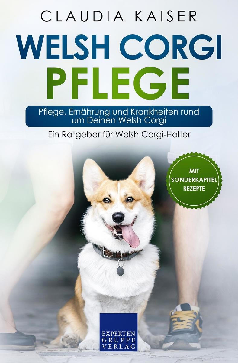 Welsh Corgi Pflege