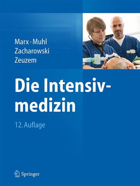 Die Intensivmedizin