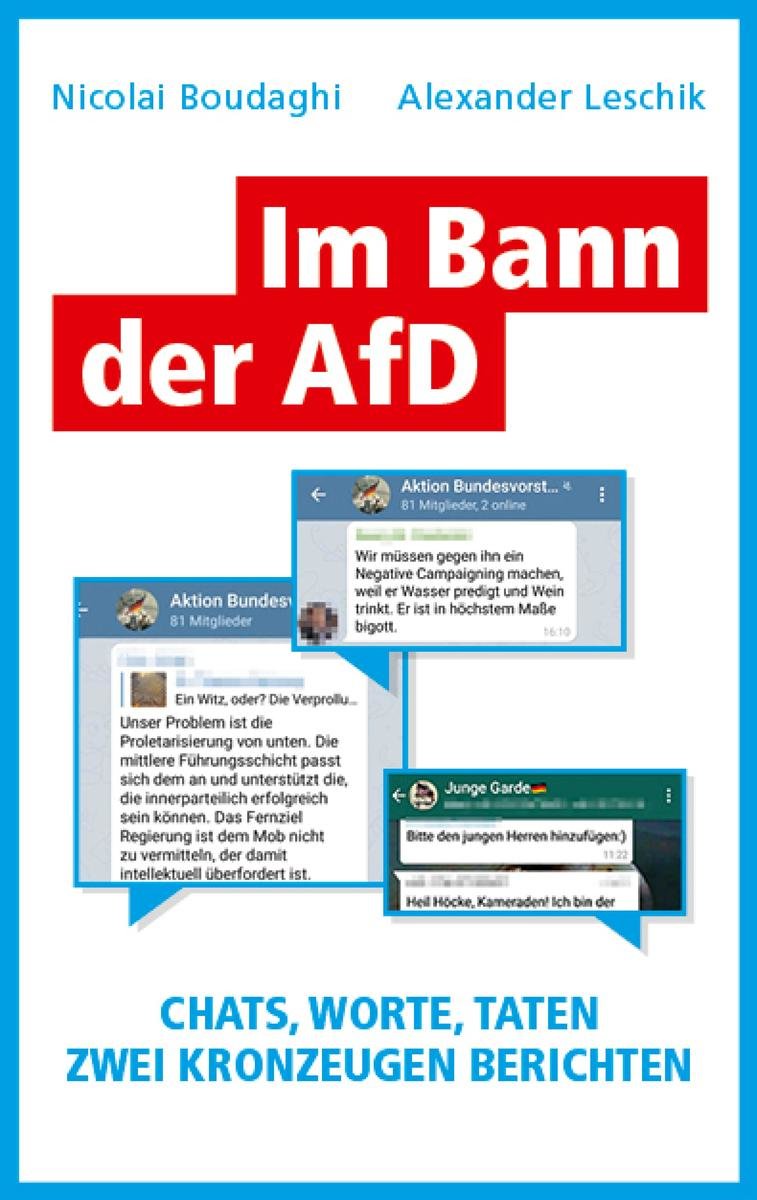 Im Bann der AfD