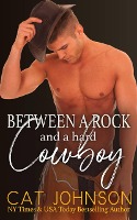 Between a Rock and a Hard Cowboy (Wilder Brothers, #3)