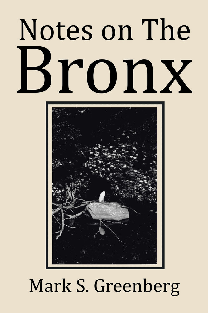 Notes on the Bronx