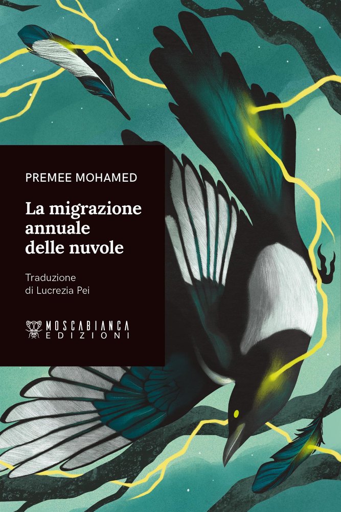 La migrazione annuale delle nuvole