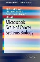 Microscopic Scale of Cancer Systems Biology