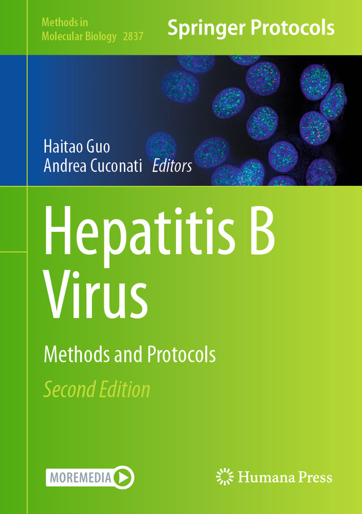 Hepatitis B Virus