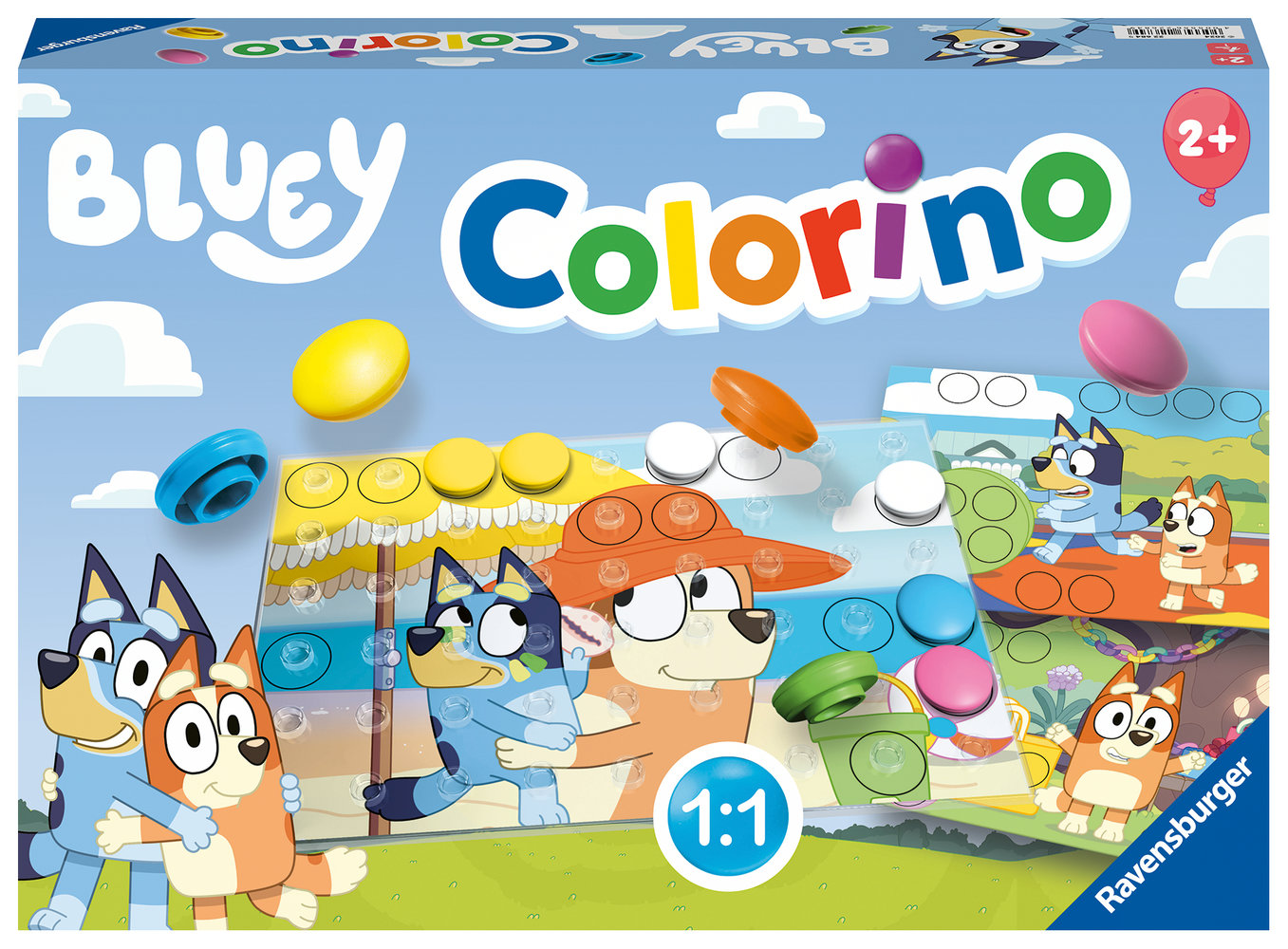 Bluey Colorino