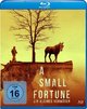 A Small Fortune-Ein kleines Vermoegen (Blu-ray)