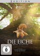 Die Eiche-Mein Zuhause