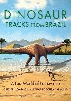 Dinosaur Tracks from Brazil