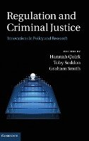 Regulation and Criminal Justice