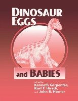 Dinosaur Eggs and Babies