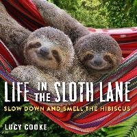 Life in the Sloth Lane