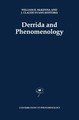 Derrida and Phenomenology