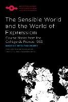 The Sensible World and the World of Expression