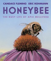 Honeybee: The Busy Life of APIs Mellifera