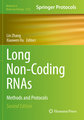 Long Non-Coding RNAs