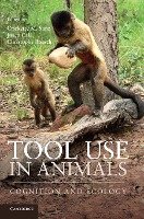 Tool Use in Animals