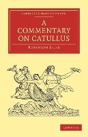 A Commentary on Catullus