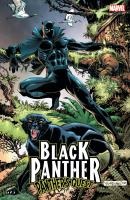 Black Panther: Panther's Quest