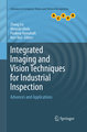 Integrated Imaging and Vision Techniques for Industrial Inspection