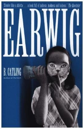 Earwig