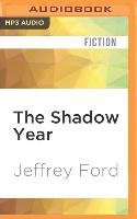 The Shadow Year