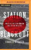 Station Blackout: Inside the Fukushima Nuclear Disaster and Recovery