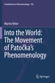 Into the World: The Movement of Patocka's Phenomenology