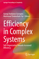 Efficiency in Complex Systems