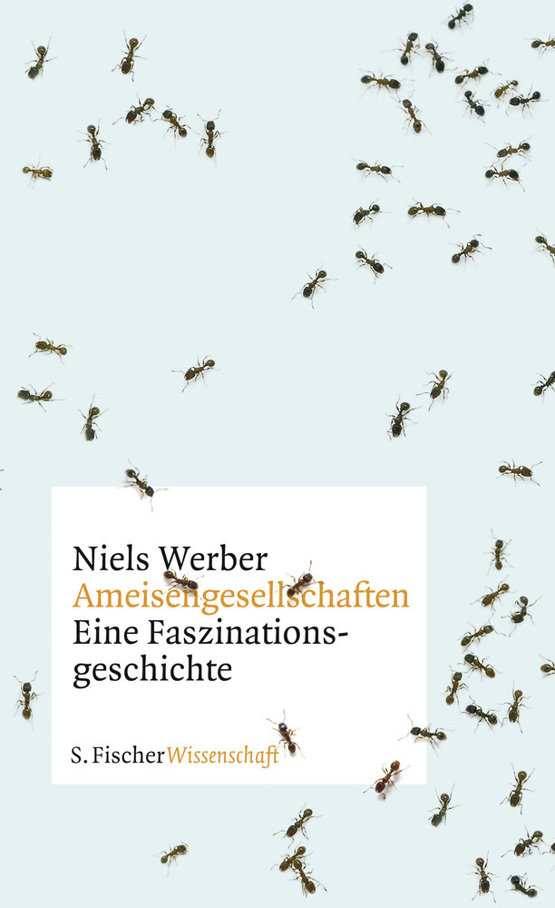 Ameisengesellschaften