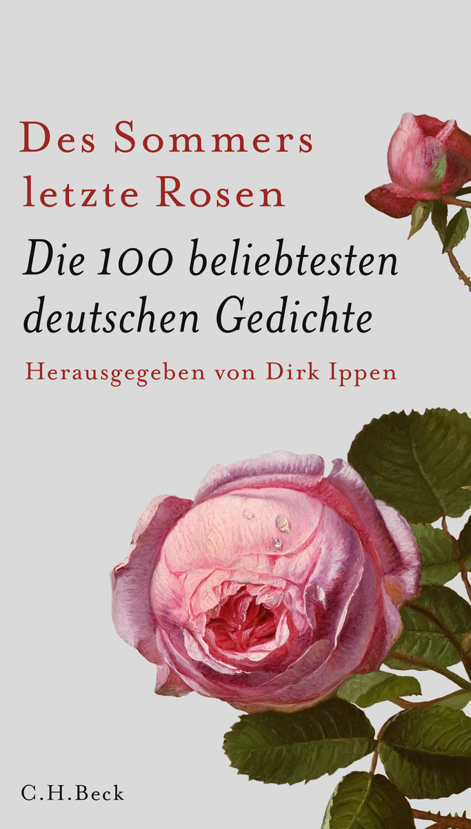 Des Sommers letzte Rosen