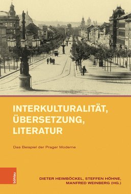 Interkulturalität, Übersetzung, Literatur