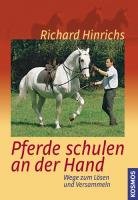 Pferde schulen an der Hand